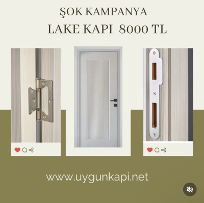 interior door modern wood