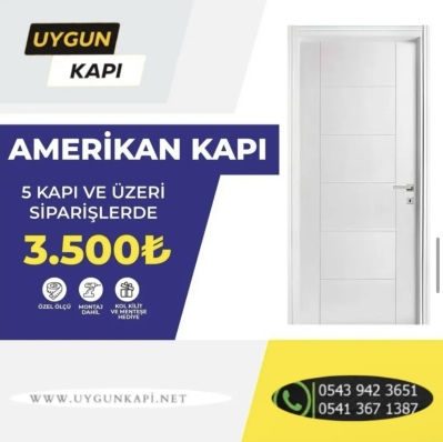 interior door modern wood